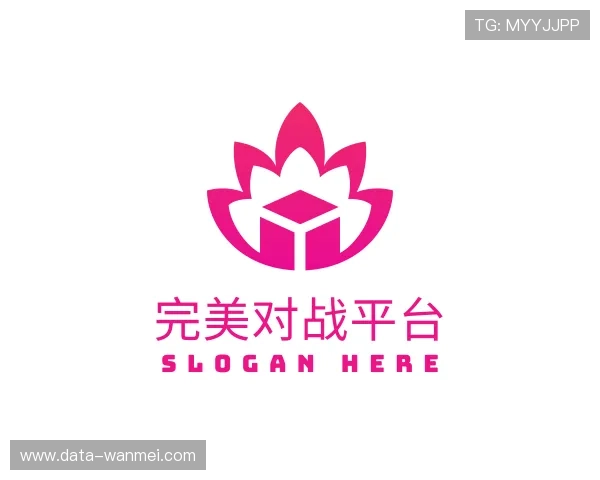 了解完美对战平台官网